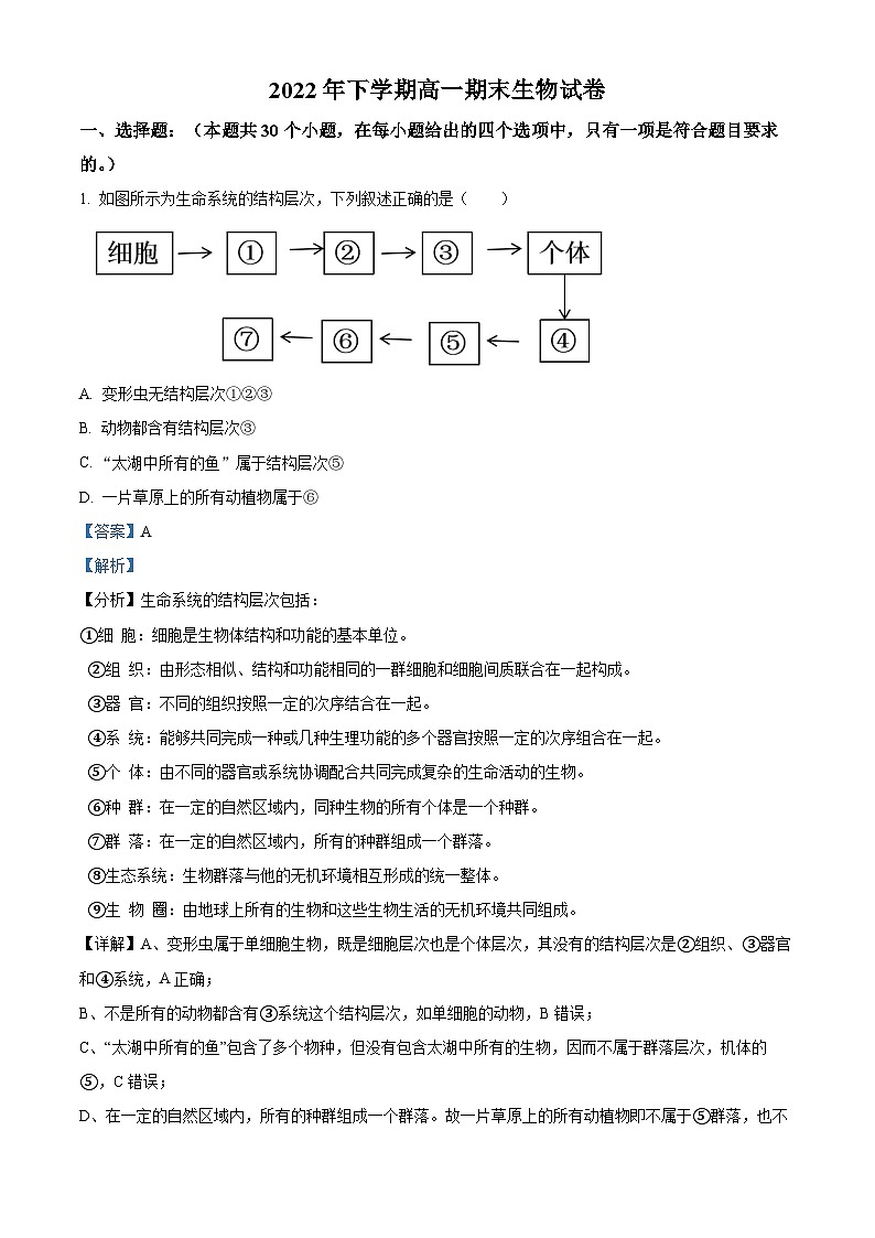 2022-2023学年湖南省长沙市岳麓实验中学 高一上学期期末生物试题（解析版）01