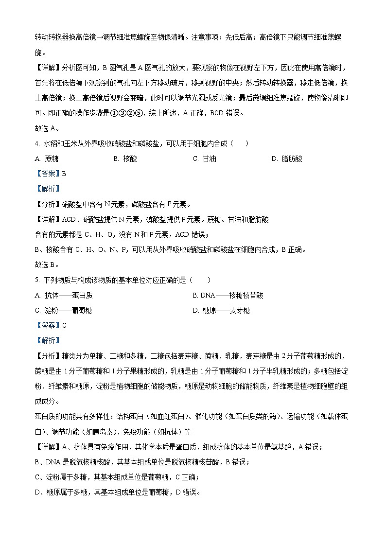 2022-2023学年湖南省长沙市岳麓实验中学 高一上学期期末生物试题（解析版）03
