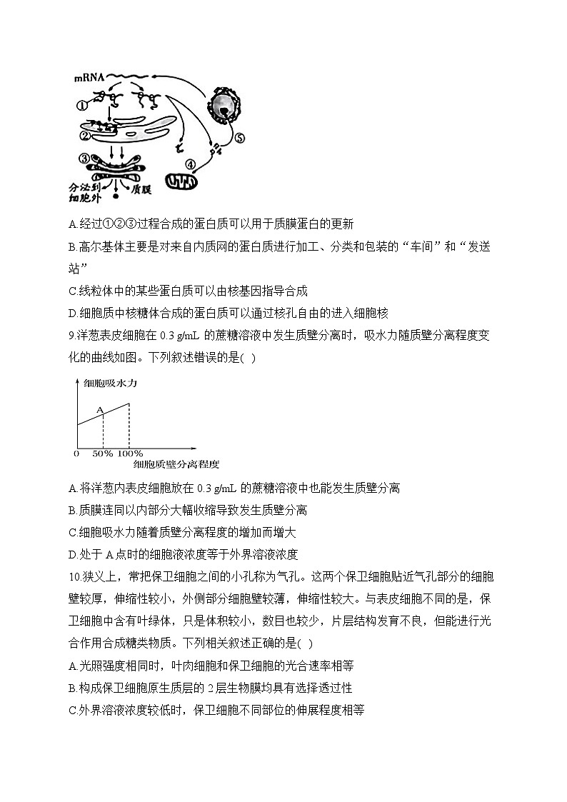 2022-2023学年湖南省衡阳县第四中学高一下学期开学摸底考试生物试卷 （ B班）第3页