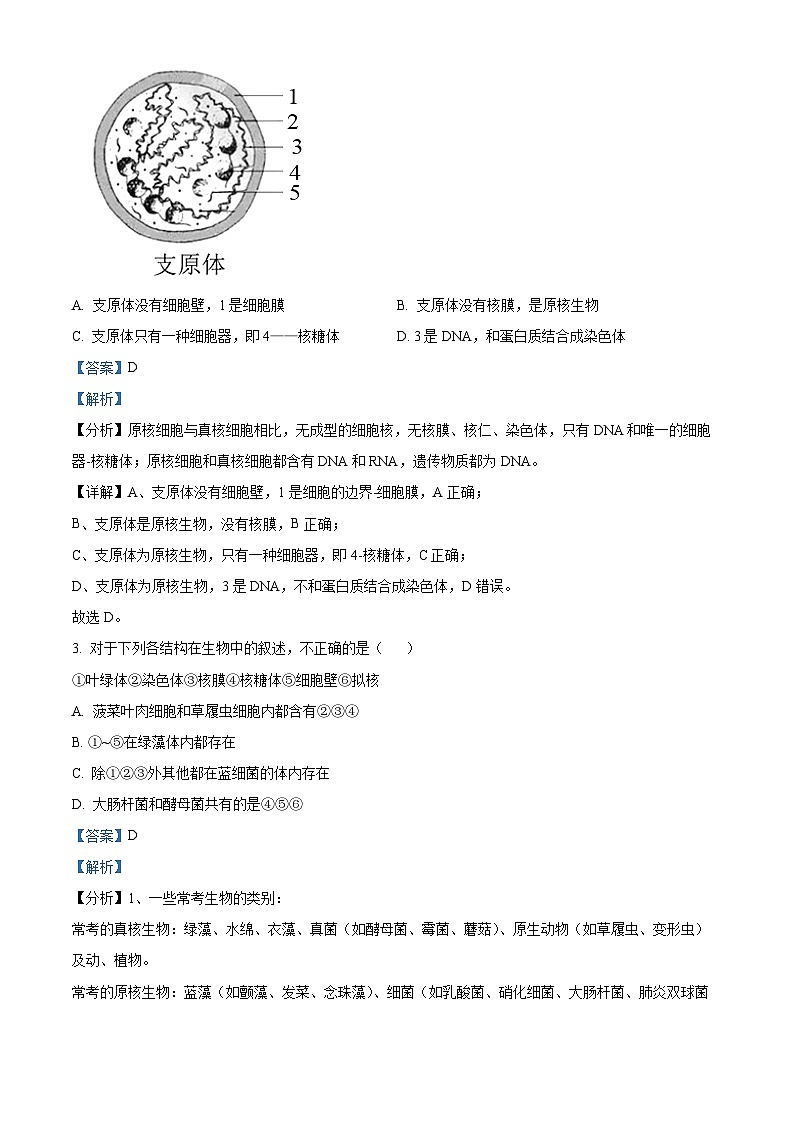 2022-2023学年吉林省长春市六中高一上学期期末生物试题（解析版）02