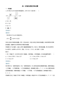 2022-2023学年吉林省长春市农安县实验中学高一上学期期末生物试题（解析版）