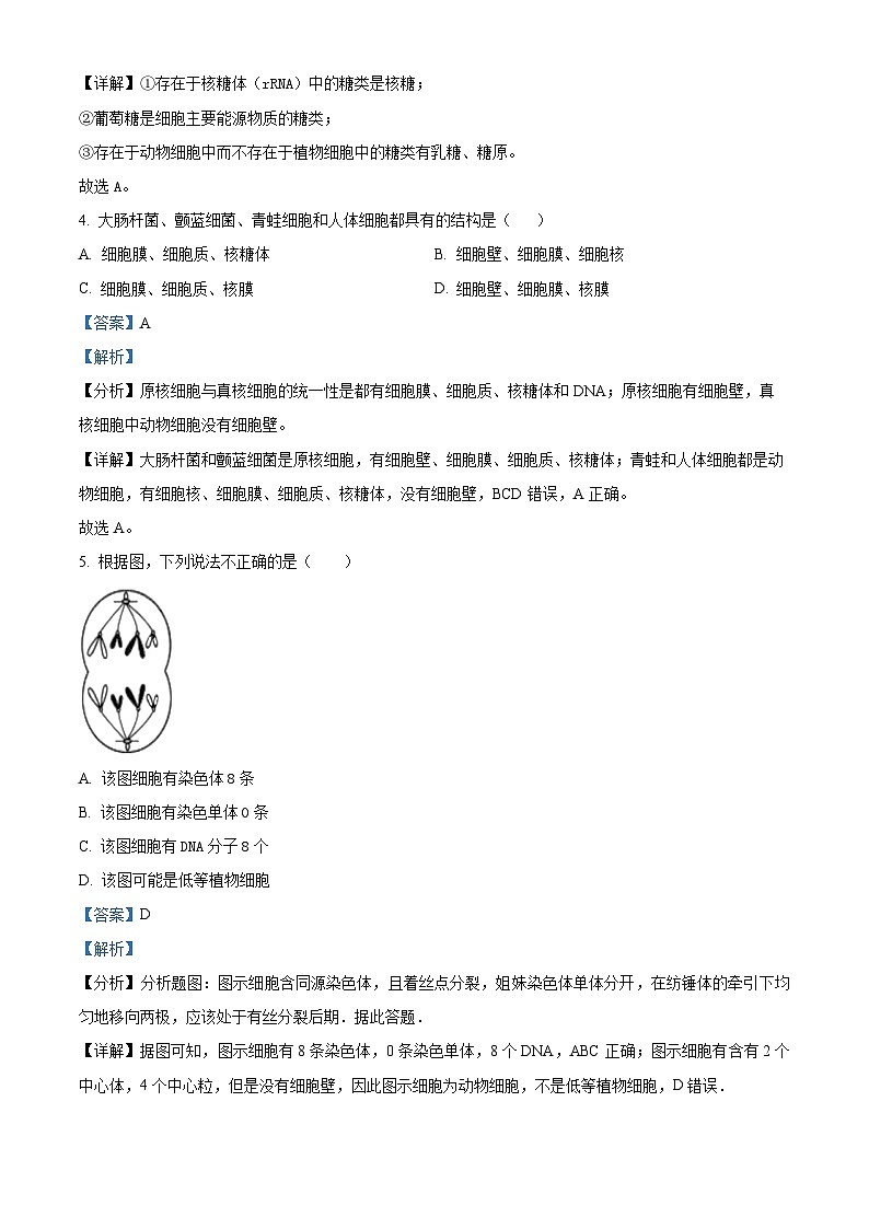 2022-2023学年吉林省长春市农安县实验中学高一上学期期末生物试题（解析版）03