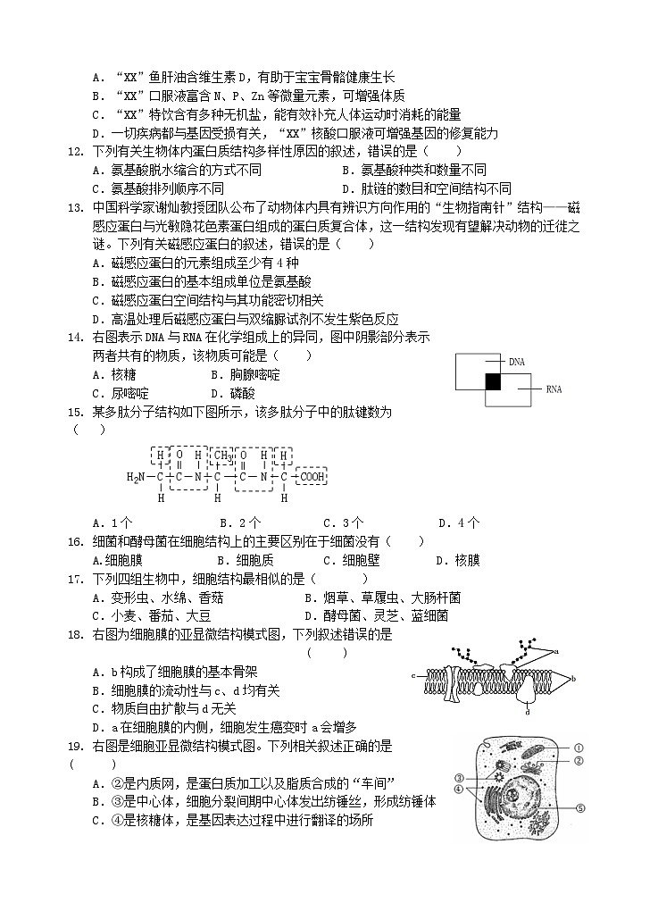 2022-2023学年江苏省盐城市大丰区新丰中学高一下学期开学考试生物试题第2页