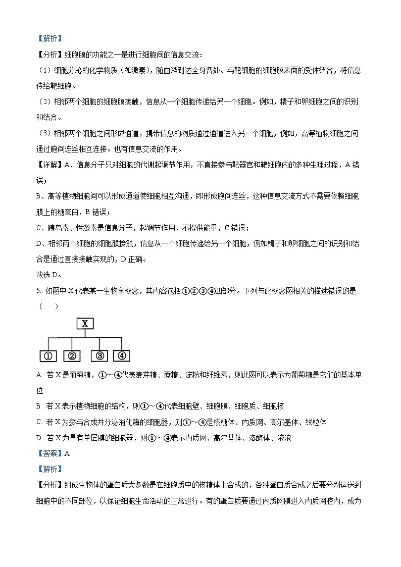 2022—2023学年山东菏泽市单县第二中学高一上学期期末生物试题（解析版）第3页