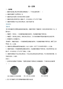 2022-2023学年山东省东营市广饶县一中高一下学期开学考试生物试题（解析版）