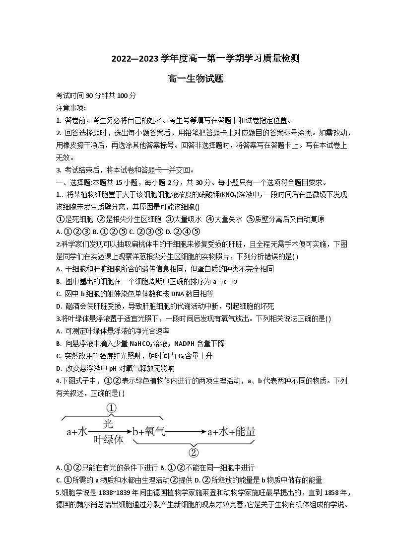 2022-2023学年山东省菏泽市高一上学期期末生物试题01