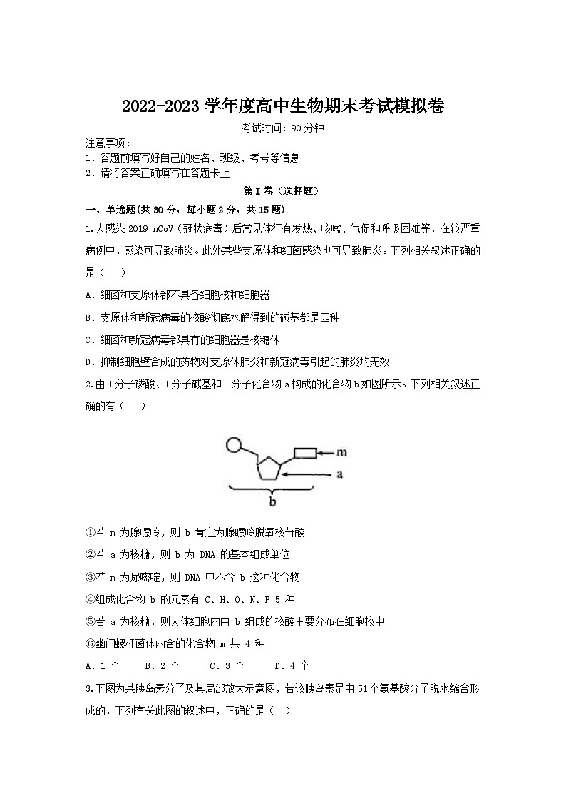 2022-2023学年山东省泰安市第一中学高一下学期开学考试生物试题01