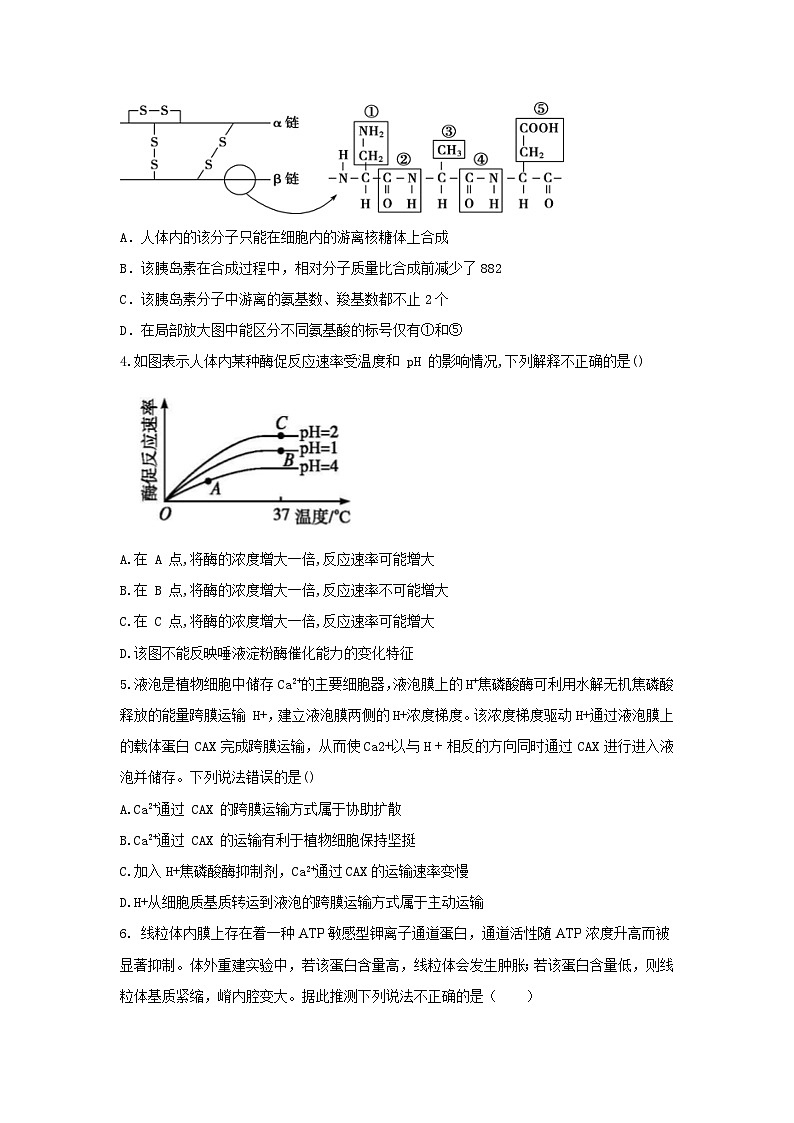 2022-2023学年山东省泰安市第一中学高一下学期开学考试生物试题02
