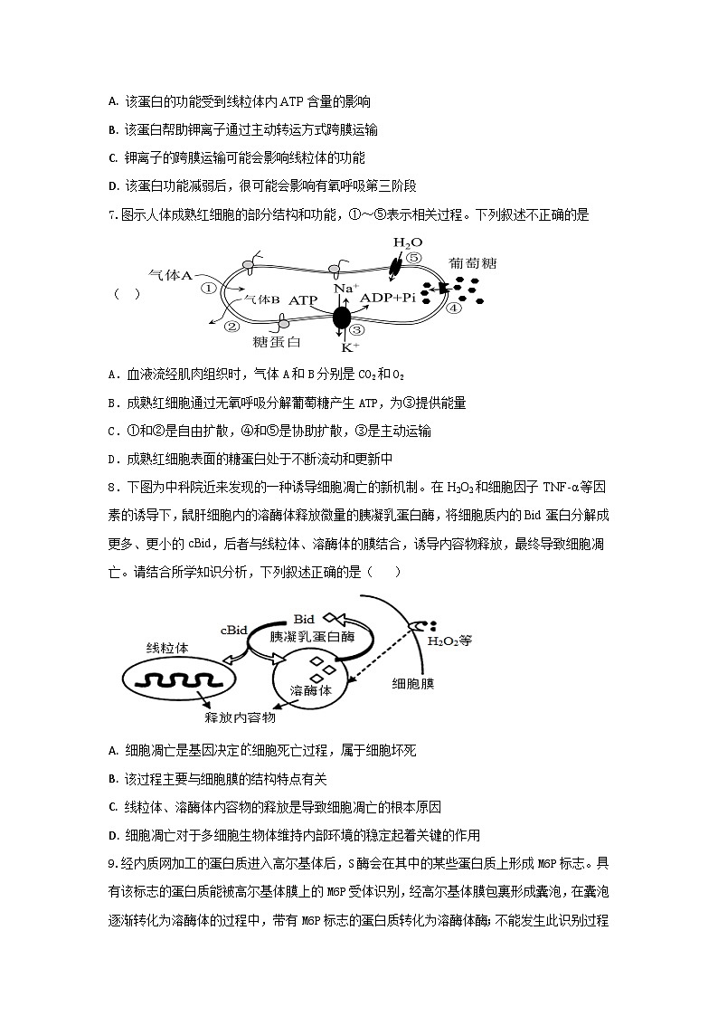 2022-2023学年山东省泰安市第一中学高一下学期开学考试生物试题03
