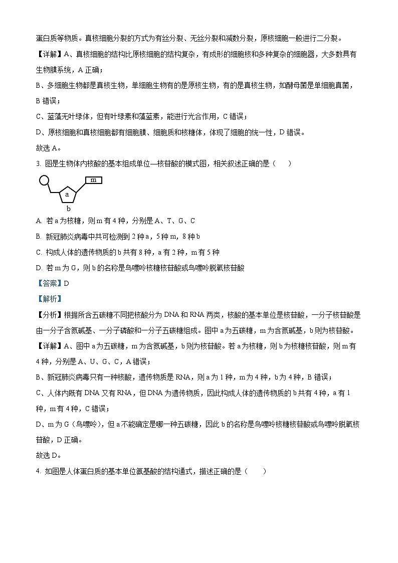 2022-2023学年山东省泰安市宁阳四中高一上学期期末生物试题（解析版）02