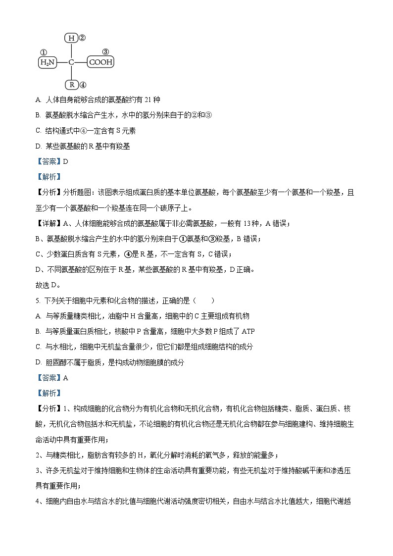 2022-2023学年山东省泰安市宁阳四中高一上学期期末生物试题（解析版）03