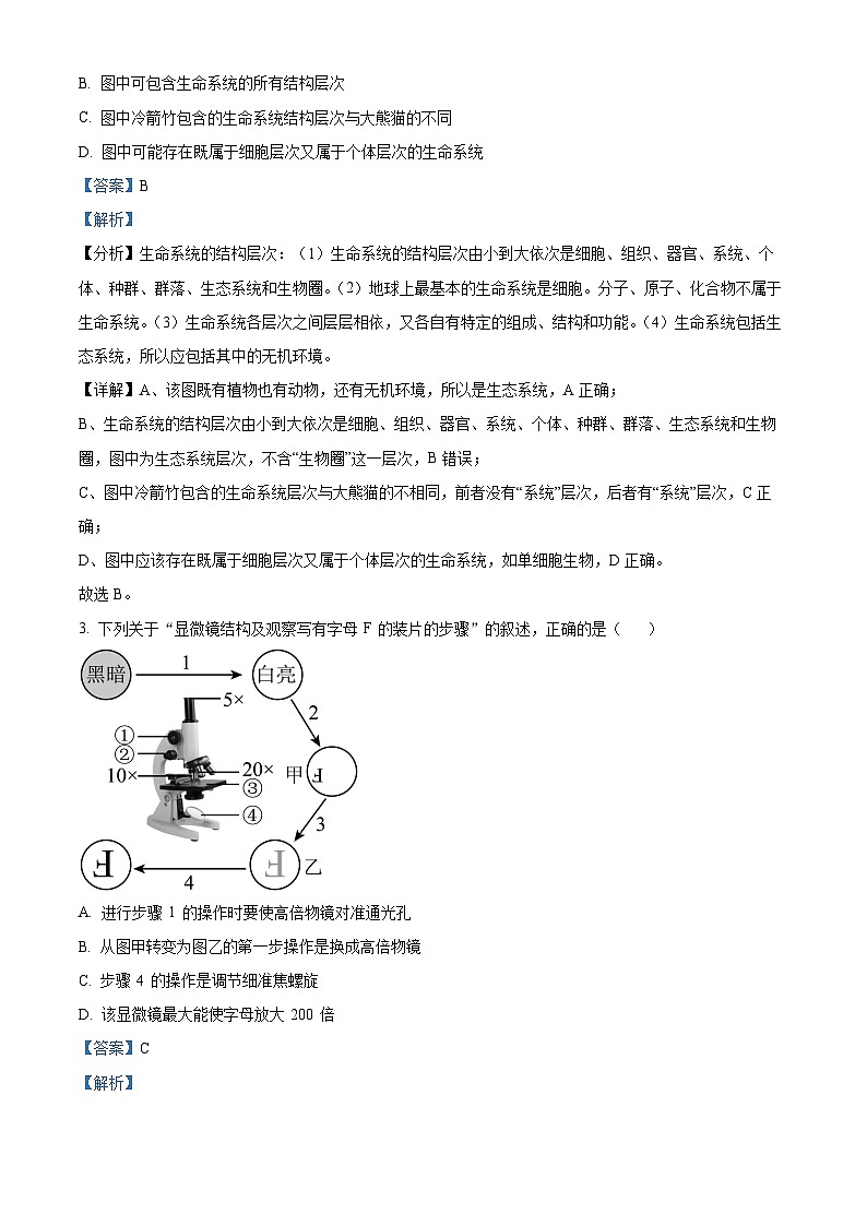 2022-2023学年四川省成都市树德中学高一上学期期末模拟生物试题（解析版）第2页