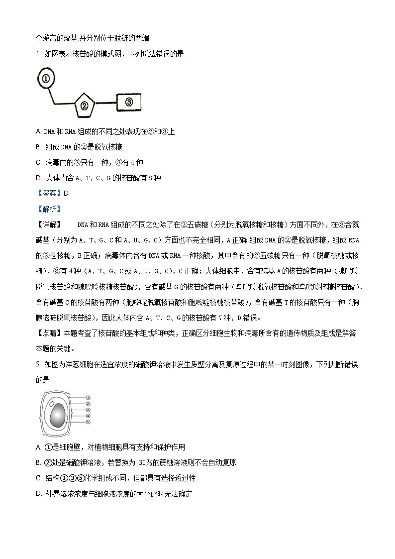 2022—2023学年四川省眉山仁寿一中高一上学期期末教学质量检测生物试题（解析版）03
