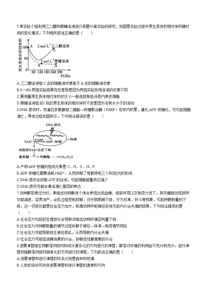 2023届广东省深圳市华朗学校高三下学期适应性考试生物试题第2页