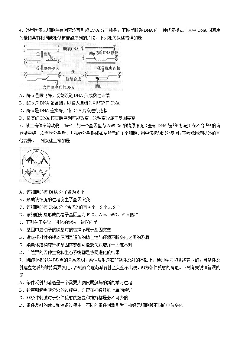 2023届山东省实验中学高三二模生物试题第2页