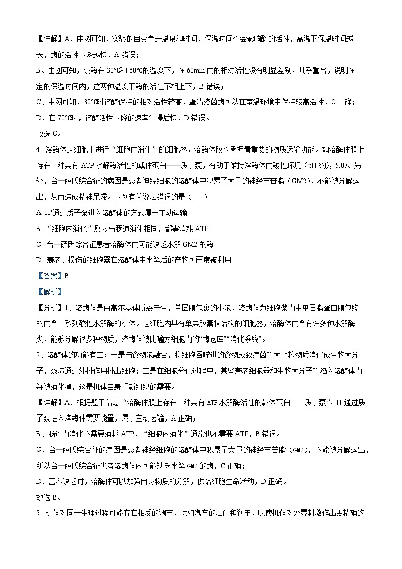 精品解析：2023届河北省廊坊市八中高三考前模拟生物试题（解析版）03