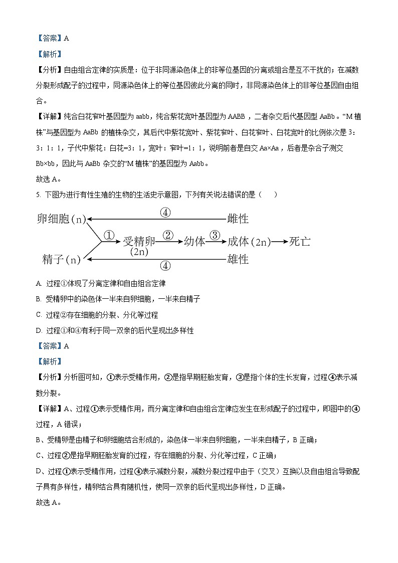 精品解析：黑龙江省大庆实验中学2022-2023学年高一下学期期中生物试题（解析版）03