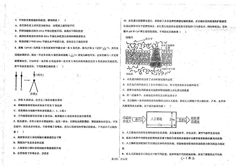 河北省衡水中学2023届高三考前自主复习密卷生物第2页