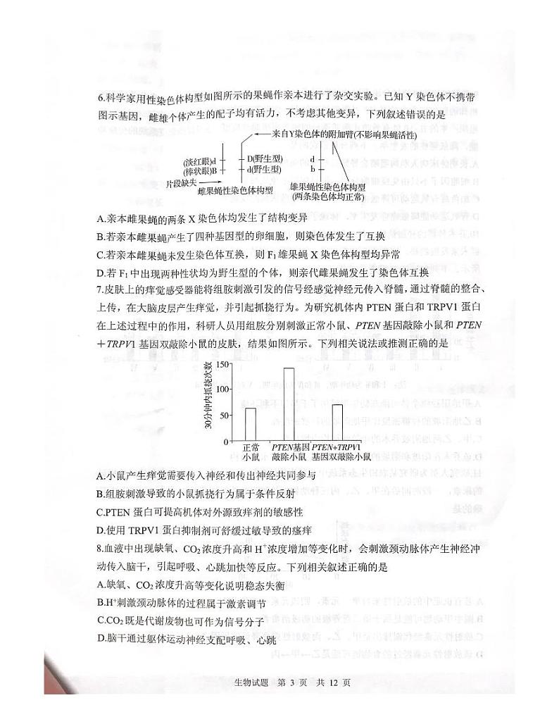 2023届山东省实验中学高三下学期第一次模拟考试 生物 PDF版03