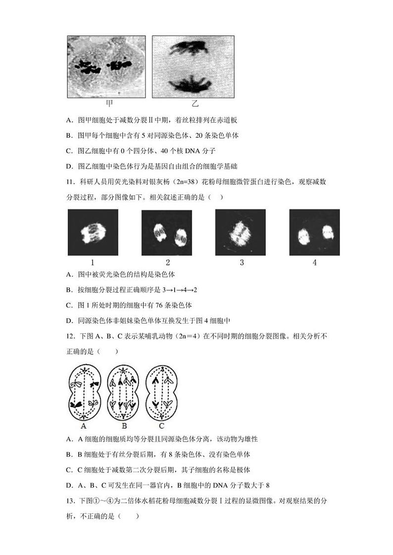 2022-2023学年江苏省镇江中学高一下学期3月检测生物试题（解析版）第3页