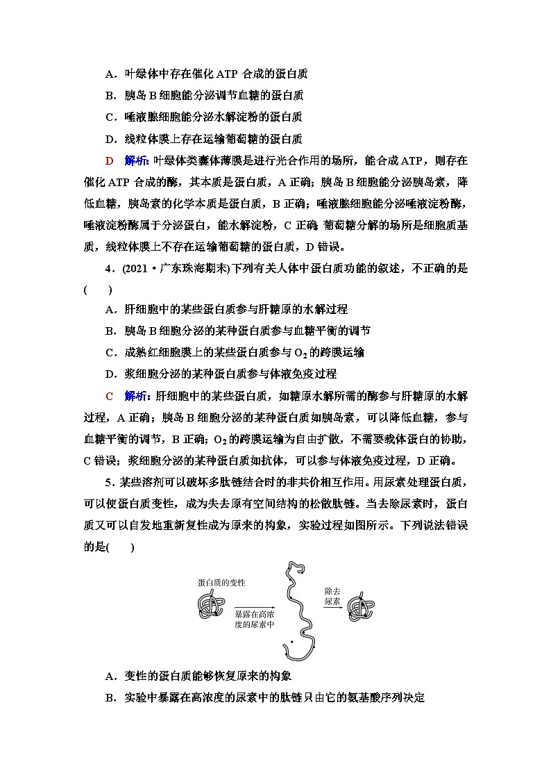 高考生物总复习课时质量评价3蛋白质和核酸含答案 试卷02
