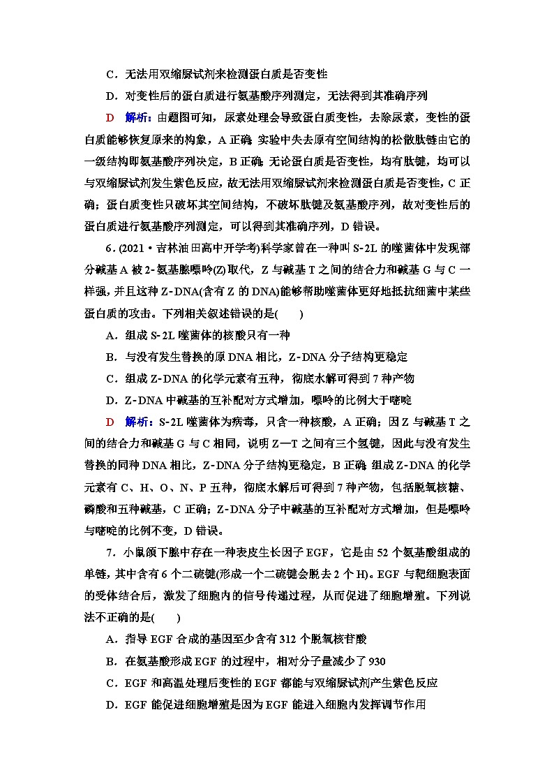 高考生物总复习课时质量评价3蛋白质和核酸含答案 试卷03