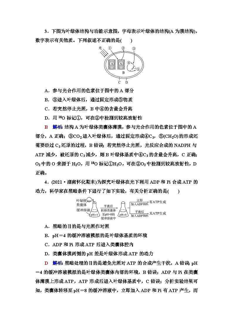 高考生物总复习课时质量评价9捕获光能的色素和结构及光合作用过程含答案 试卷02