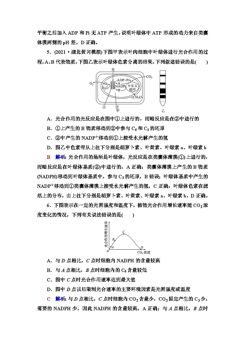 高考生物总复习课时质量评价9捕获光能的色素和结构及光合作用过程含答案 试卷03