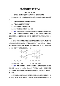 高考生物总复习课时质量评价18DNA的结构、复制和基因的本质含答案