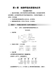 高考生物总复习第3单元第8课细胞呼吸的原理和应用学案