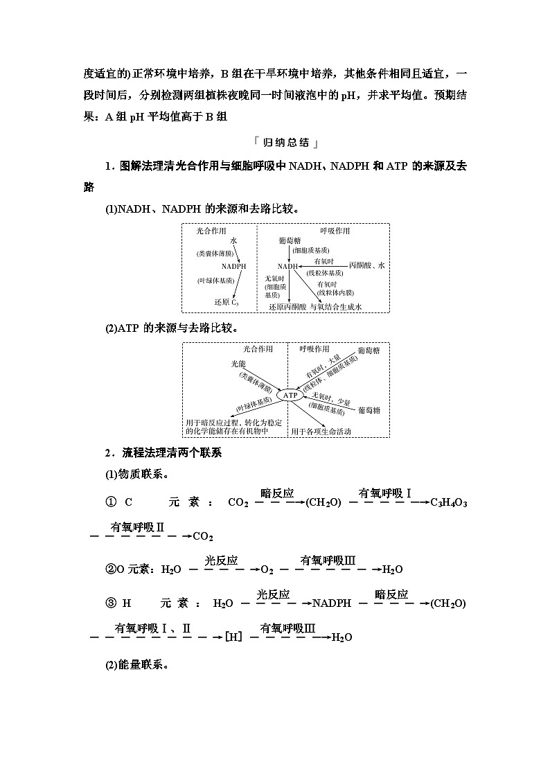 高考生物总复习第3单元高频考点进阶课1光合作用与细胞呼吸的综合应用学案第2页