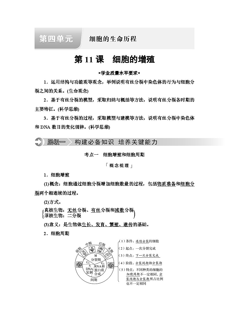 高考生物总复习第4单元第11课细胞的增殖学案01