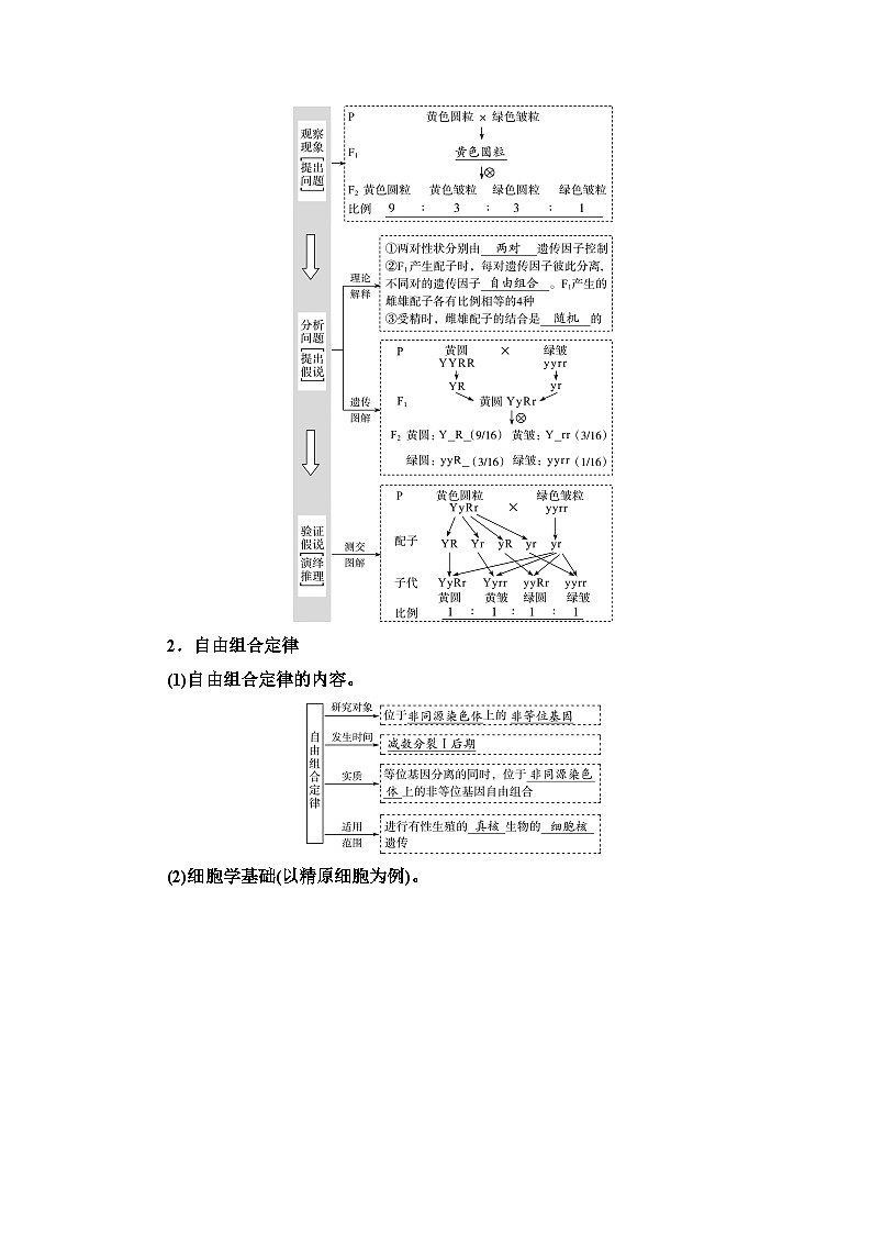 高考生物总复习第5单元第15课基因的自由组合定律学案第2页