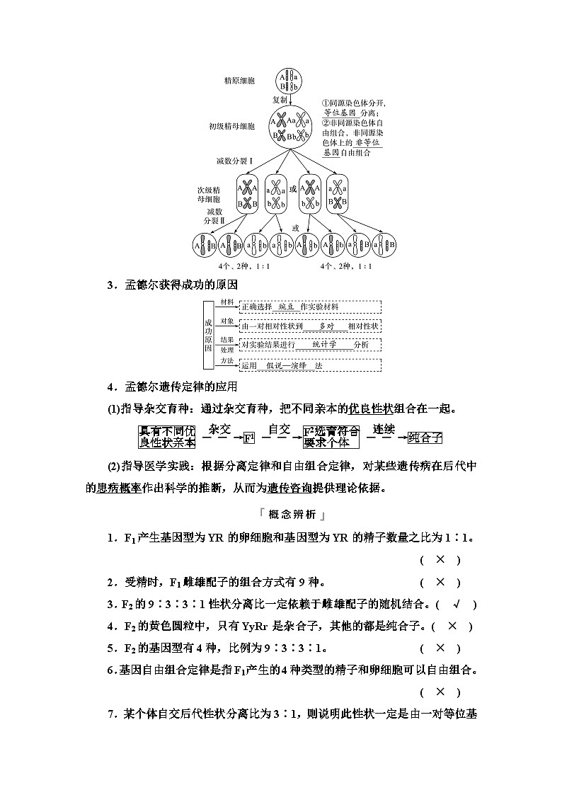 高考生物总复习第5单元第15课基因的自由组合定律学案第3页