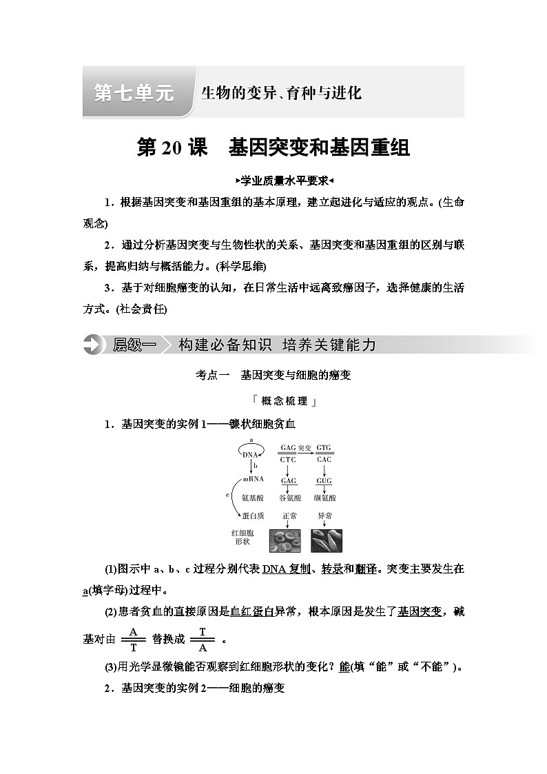 高考生物总复习第7单元第20课基因突变和基因重组学案第1页