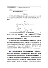 高考生物总复习第8单元高频考点进阶课4兴奋传导与传递的相关分析学案