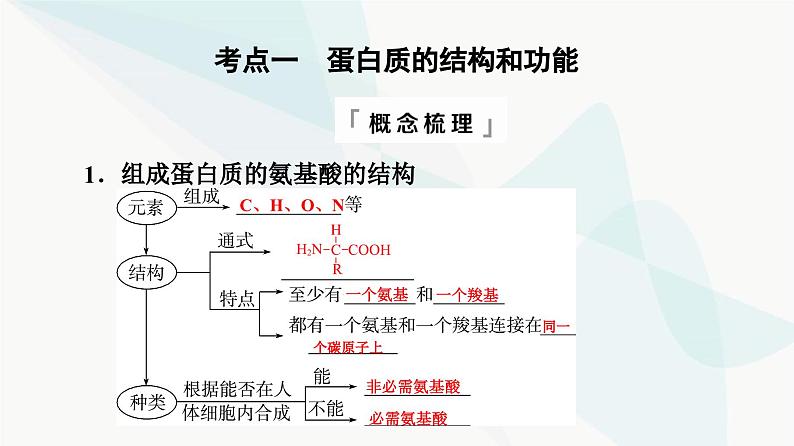 高考生物总复习第1单元第3课蛋白质和核酸课件第4页