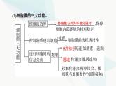 高考生物总复习第2单元第4课细胞膜和细胞核课件