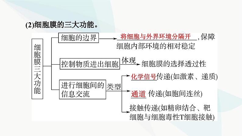 高考生物总复习第2单元第4课细胞膜和细胞核课件05