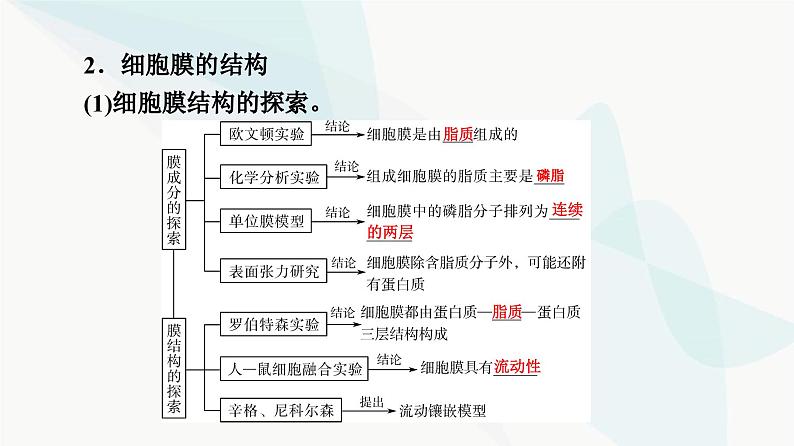 高考生物总复习第2单元第4课细胞膜和细胞核课件07