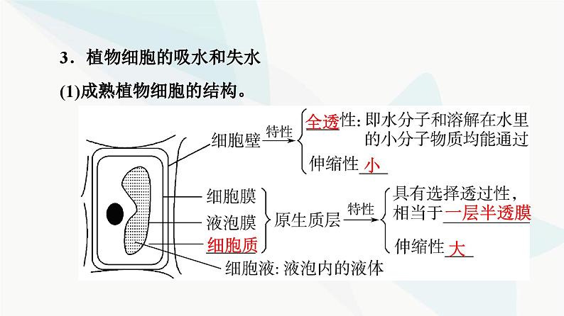 高考生物总复习第3单元第6课细胞的物质输入和输出课件第6页