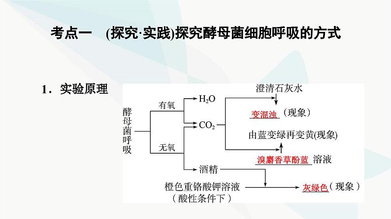 高考生物总复习第3单元第8课细胞呼吸的原理和应用课件04