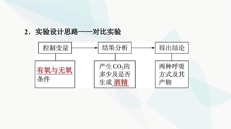 高考生物总复习第3单元第8课细胞呼吸的原理和应用课件05