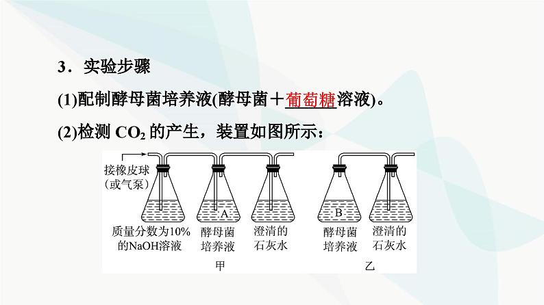 高考生物总复习第3单元第8课细胞呼吸的原理和应用课件06