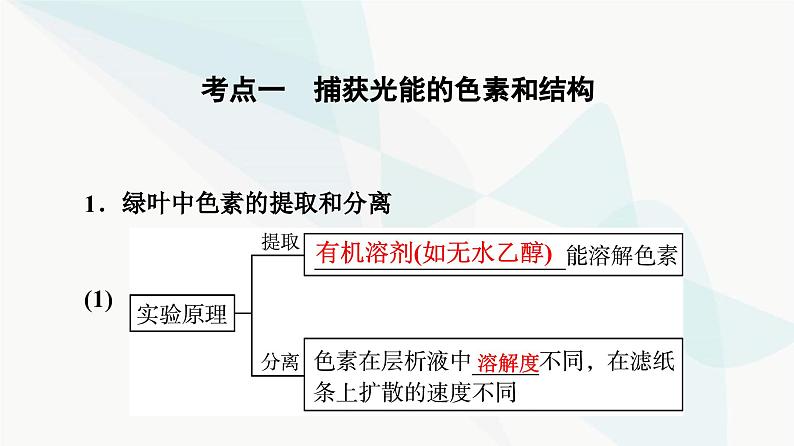 高考生物总复习第3单元第9课捕获光能的色素和结构及光合作用过程课件04