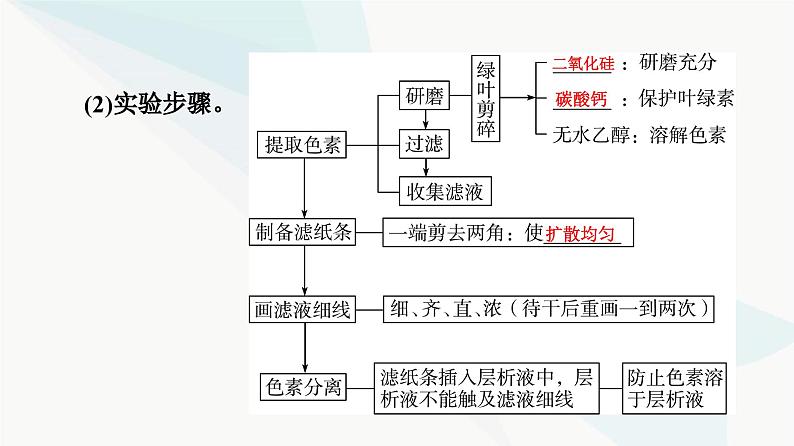 高考生物总复习第3单元第9课捕获光能的色素和结构及光合作用过程课件05