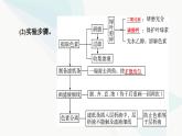 高考生物总复习第3单元第9课捕获光能的色素和结构及光合作用过程课件