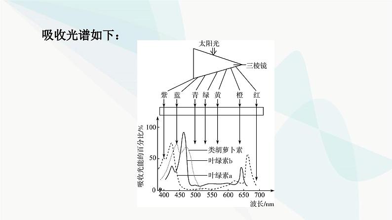 高考生物总复习第3单元第9课捕获光能的色素和结构及光合作用过程课件08