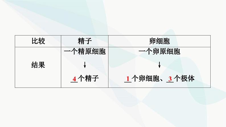 高考生物总复习第4单元第12课减数分裂和受精作用课件08