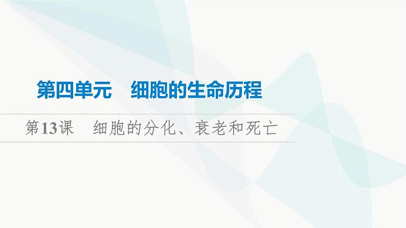 高考生物总复习第4单元第13课细胞的分化、衰老和死亡课件01